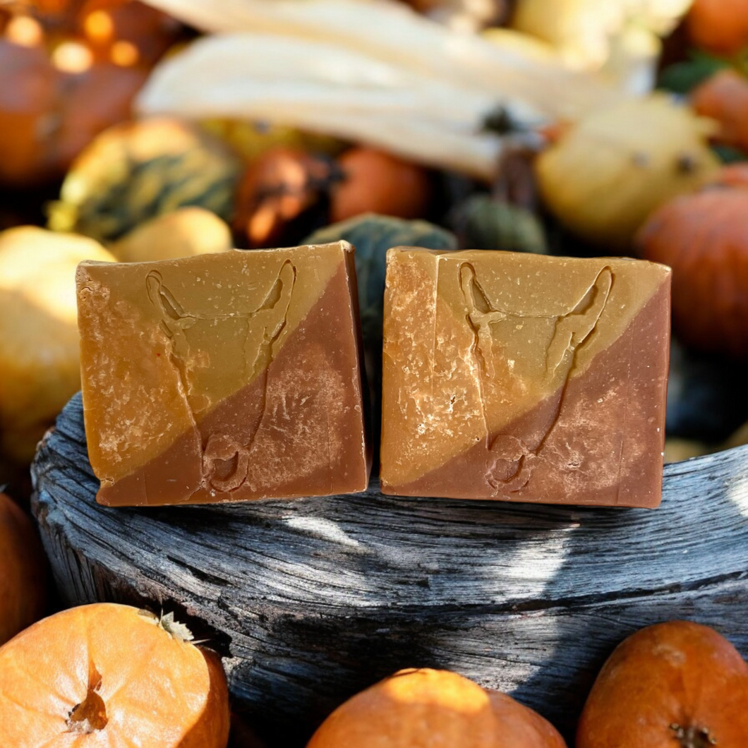 **Limited Edition** Equinox Pumpkin and Goat Milk Soap